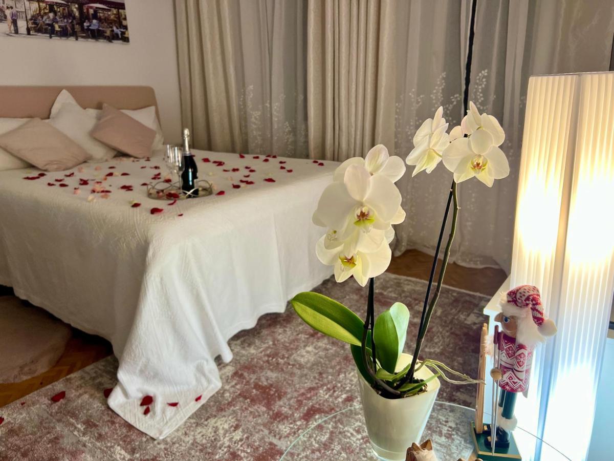 Louis & Elza Old Town Romantic Apartments Wroclaw Luaran gambar